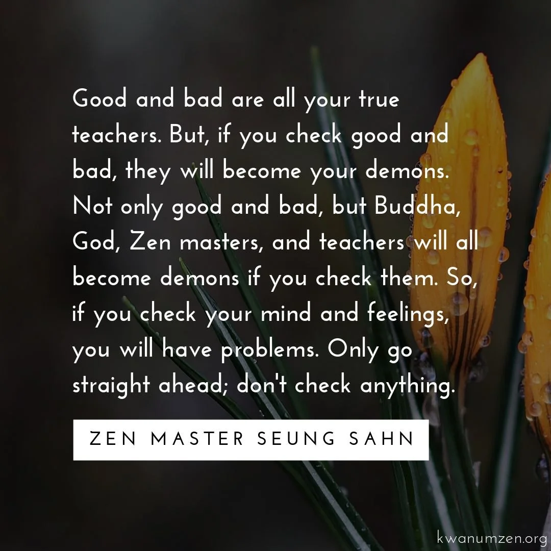 "Good and bad are all your true teachers." Quote by Zen Master Seung Sahn. #zen #teachers #goodandbad #demons #checking #meditation #buddhism #kwanumzen #zmseungsahn