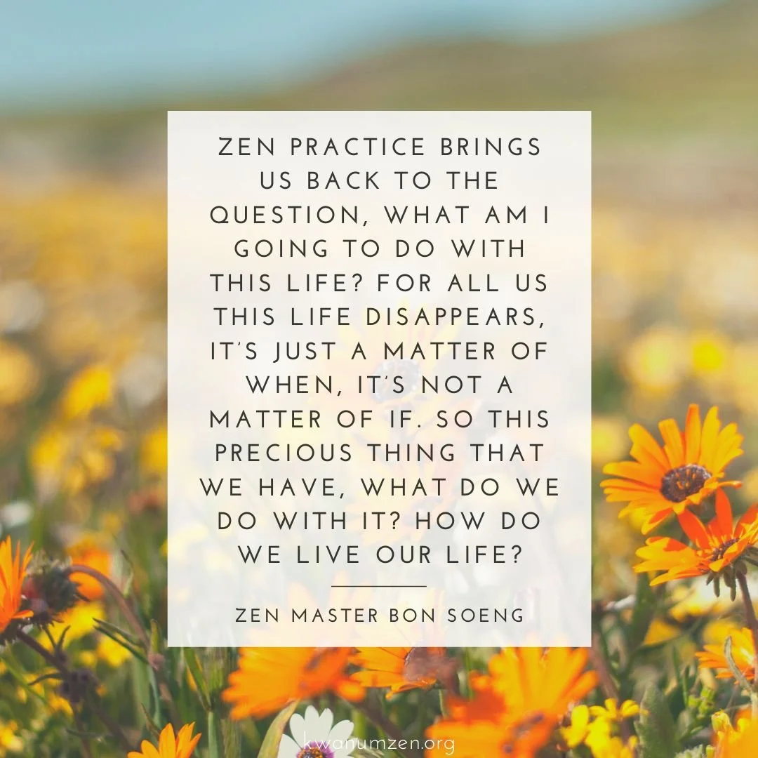 "Zen practice brings us back to the question, what am I going to do with this life?" Quote by Zen Master Bon Soeng. #zen #meditation #impermanence #humanlife #kwanumzen