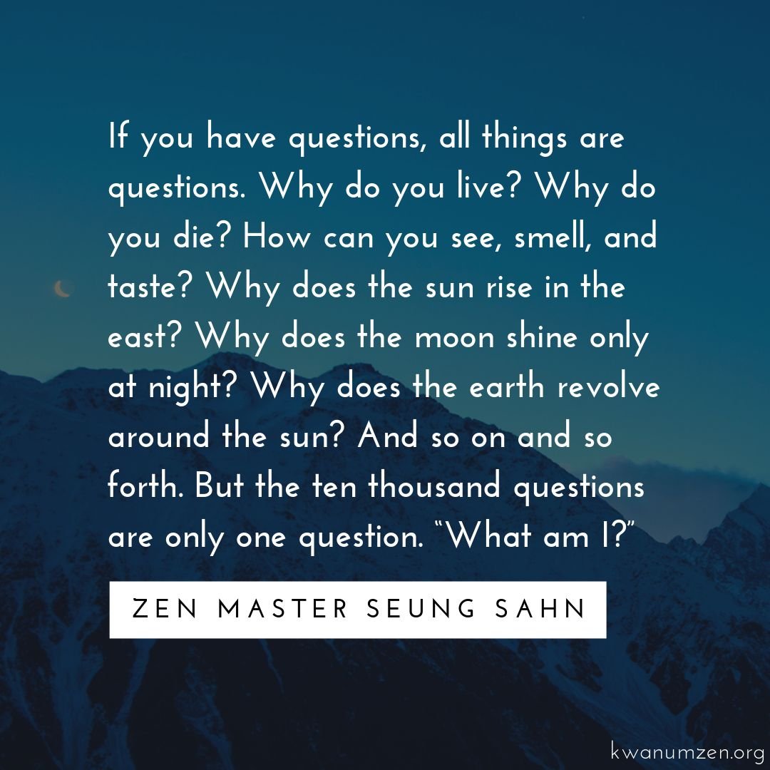"If you have questions, all things are questions." Quote by Zen Master Seung Sahn. #zen #questions #life #death #whatami #zmseungsahn #kwanumzen