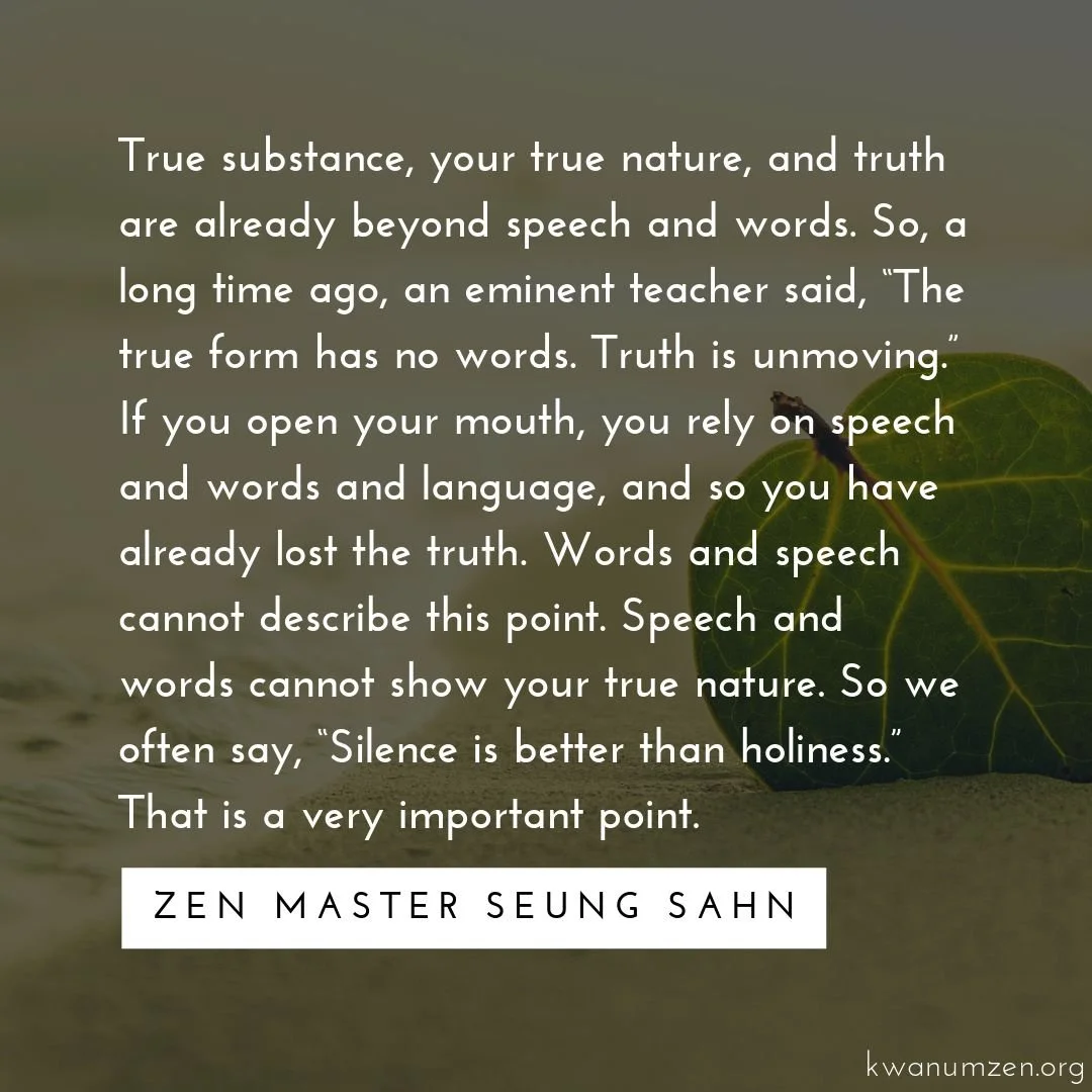 "True substance, your true nature, and truth are already beyond speech and words." Quote by Zen Master Seung Sahn. #zen #truth #truenature #silence #beyondwords #meditation #holiness #zmseungsahn #kwanumzen