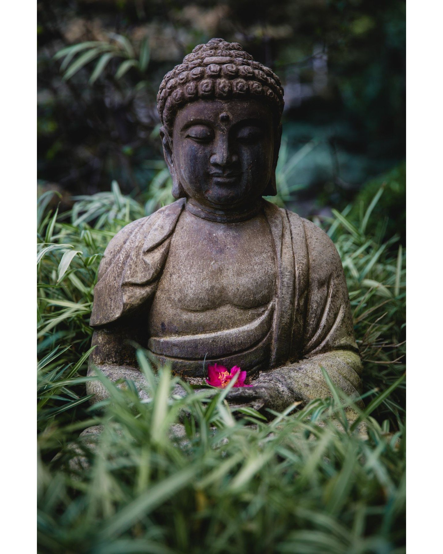 Recently one of my students died, I went to his funeral at a church. The minister talked about God. He said that anytime you have a problem, if you just depend on God, the problem disappears. But sometimes this doesn't seem to be enough. Our life is 