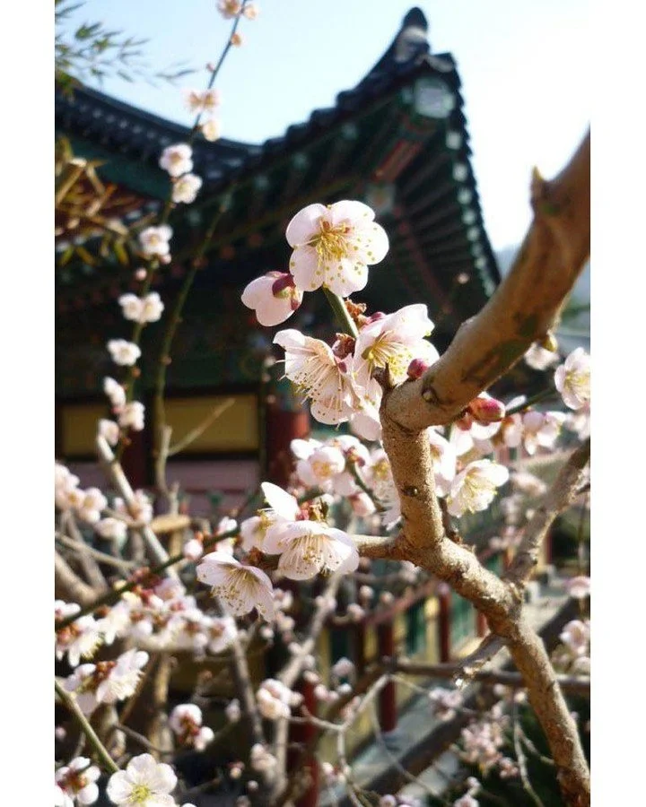 Question: Have you ever encountered any magical event?
Knud Rosenmayr JDPSN: Yes. Sitting here talking to you. That&rsquo;s real magic. Yeah, there are many stories, and we kind of like to listen to these magical stories. But then, when we really per