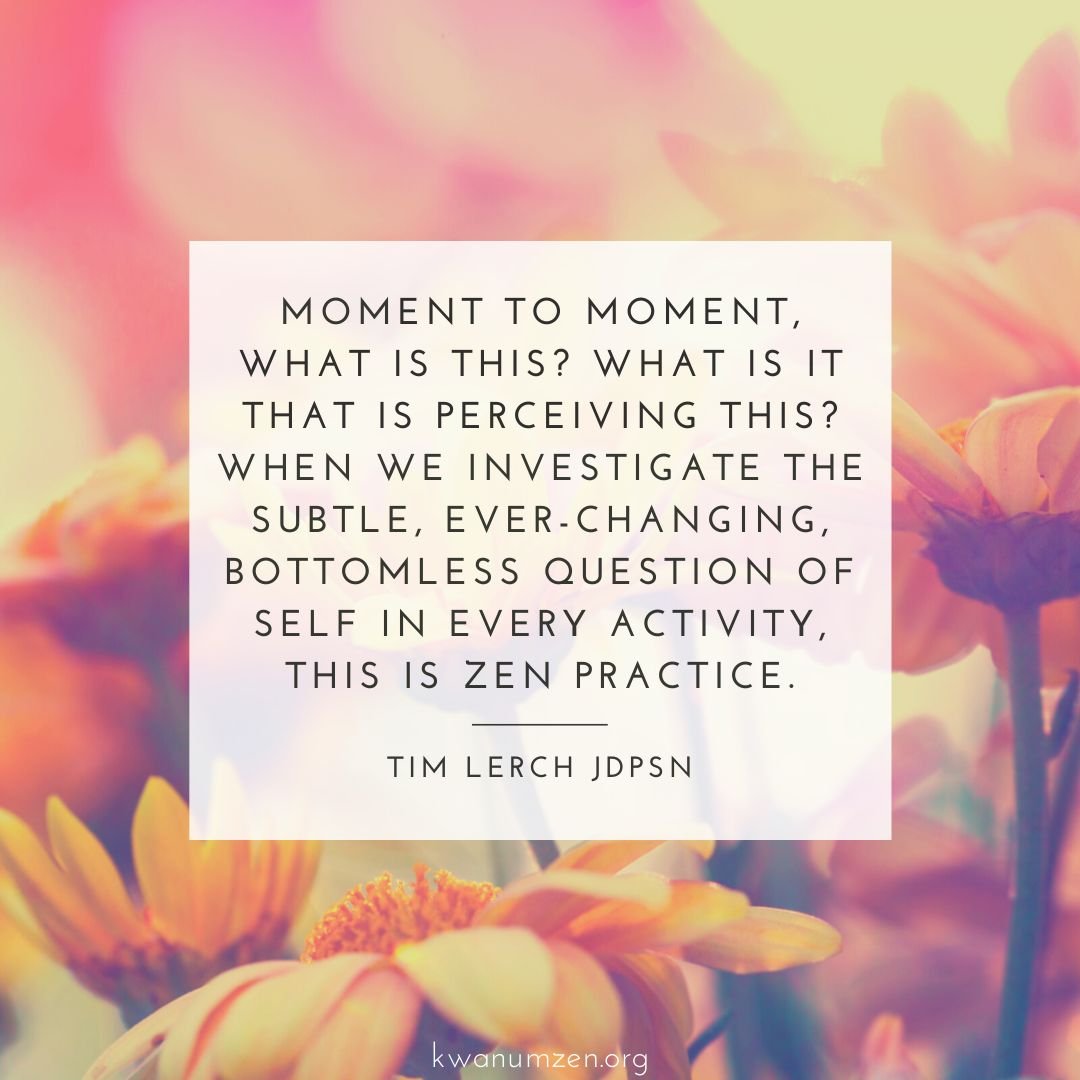 "Moment to moment, what is this?" Quote by Tim Lerch JDPSN. #zen #meditation #moment #perceive #self #kwanumzen