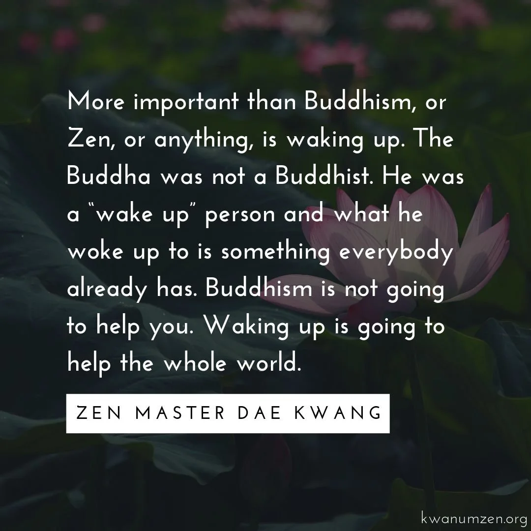 "More important than Buddhism, or Zen, or anything, is waking up." Quote by Zen Master Dae Kwang. #zen #buddhism #wakeup #buddha #kwanumzen