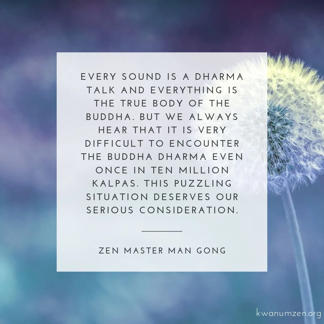 "Every sound is a Dharma talk and everything is the true body of the Buddha." Quote by Zen Master Man Gong. #zen #dharma #buddha