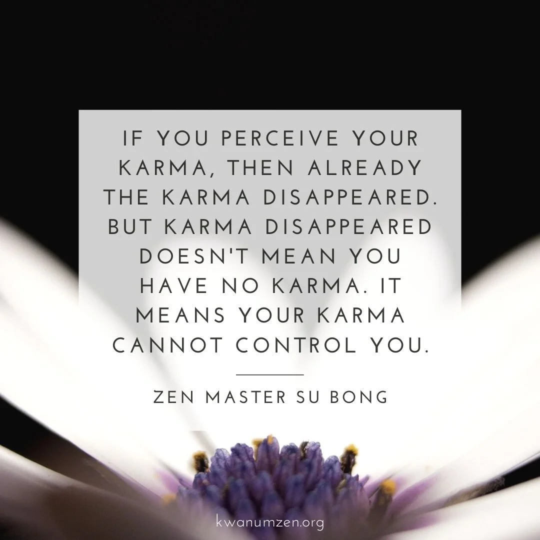 "If you perceive your karma, then already the karma disappeared." Quote by Zen Master Su Bong. #zen #karma #meditation #kwanumzen