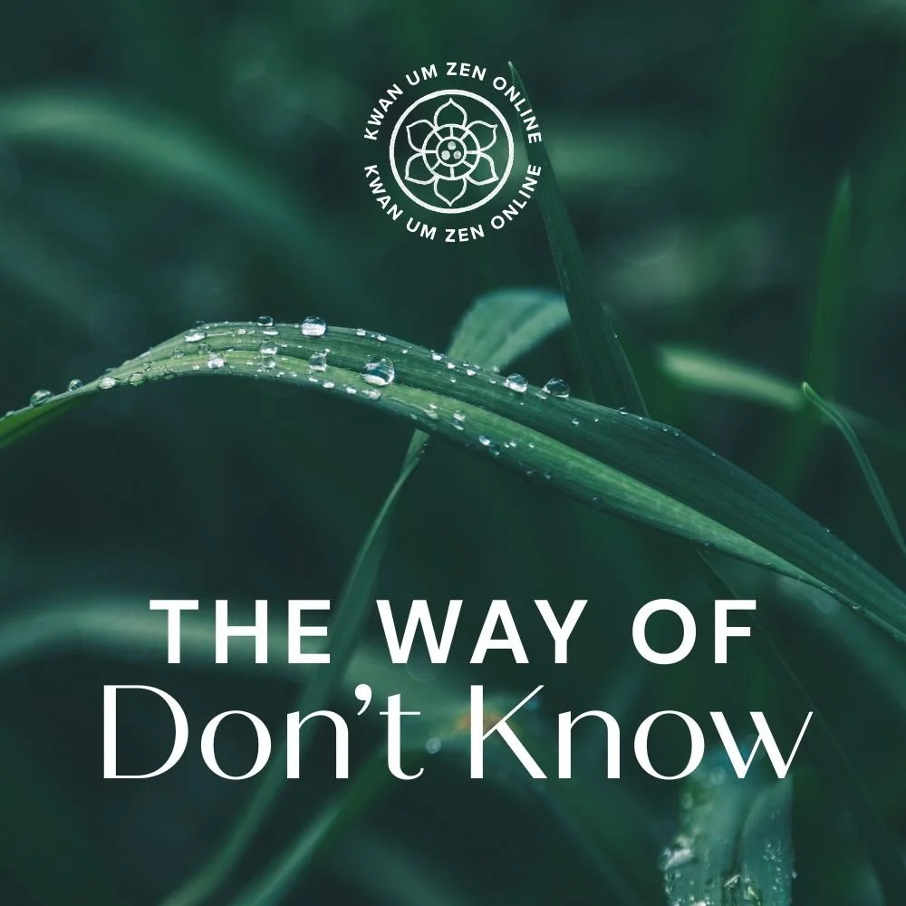 Kwan Um Zen Online is introducing a monthly podcast called The Way of Don't Know.
Each episode explores how Zen teachings come alive in everyday life. Teachers from across our school share stories, insights, and guidance rooted in the heart of our tr