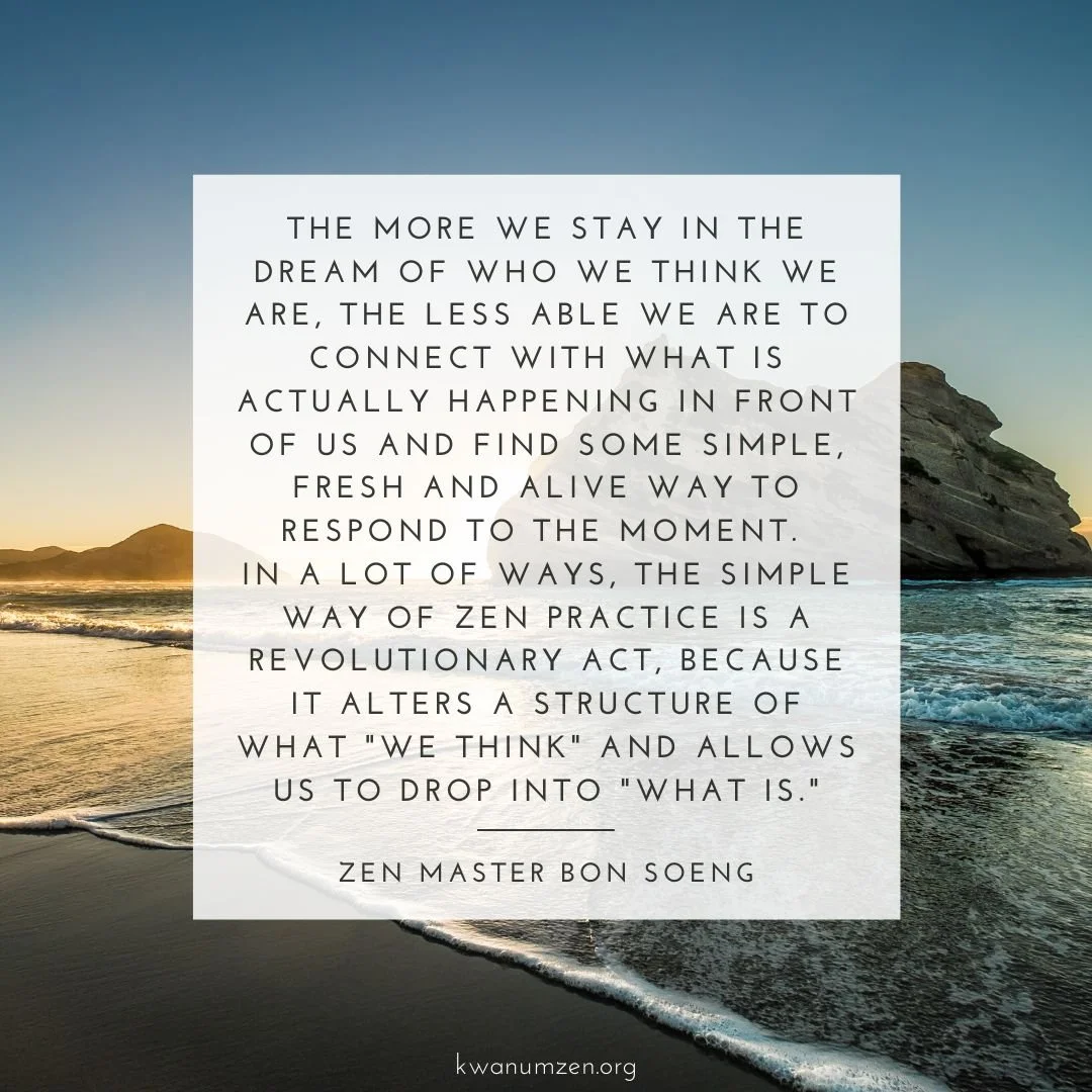 "The more we stay in the dream of who we think we are, the less able we are to connect with what is actually happening in front of us..." Quote by Zen Master Bon Soeng. #zen #moment #thinking #alive #kwanumzen