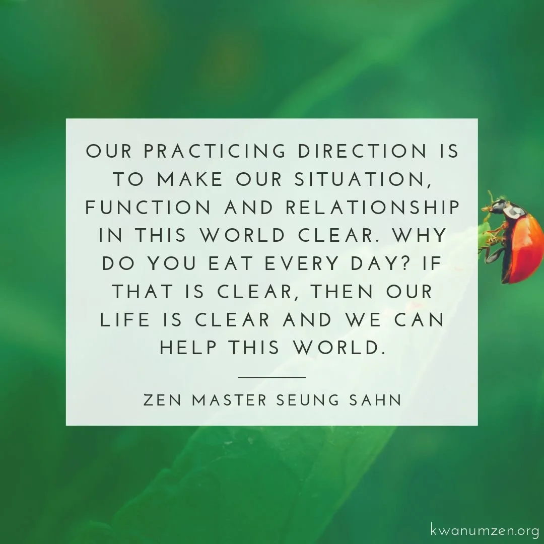 "Our practicing direction is to make our situation, function and relationship in this world clear." Quote by Zen Master Seung Sahn.#zen #direction #meditation #relationship #zmseungsahn #kwanumzen