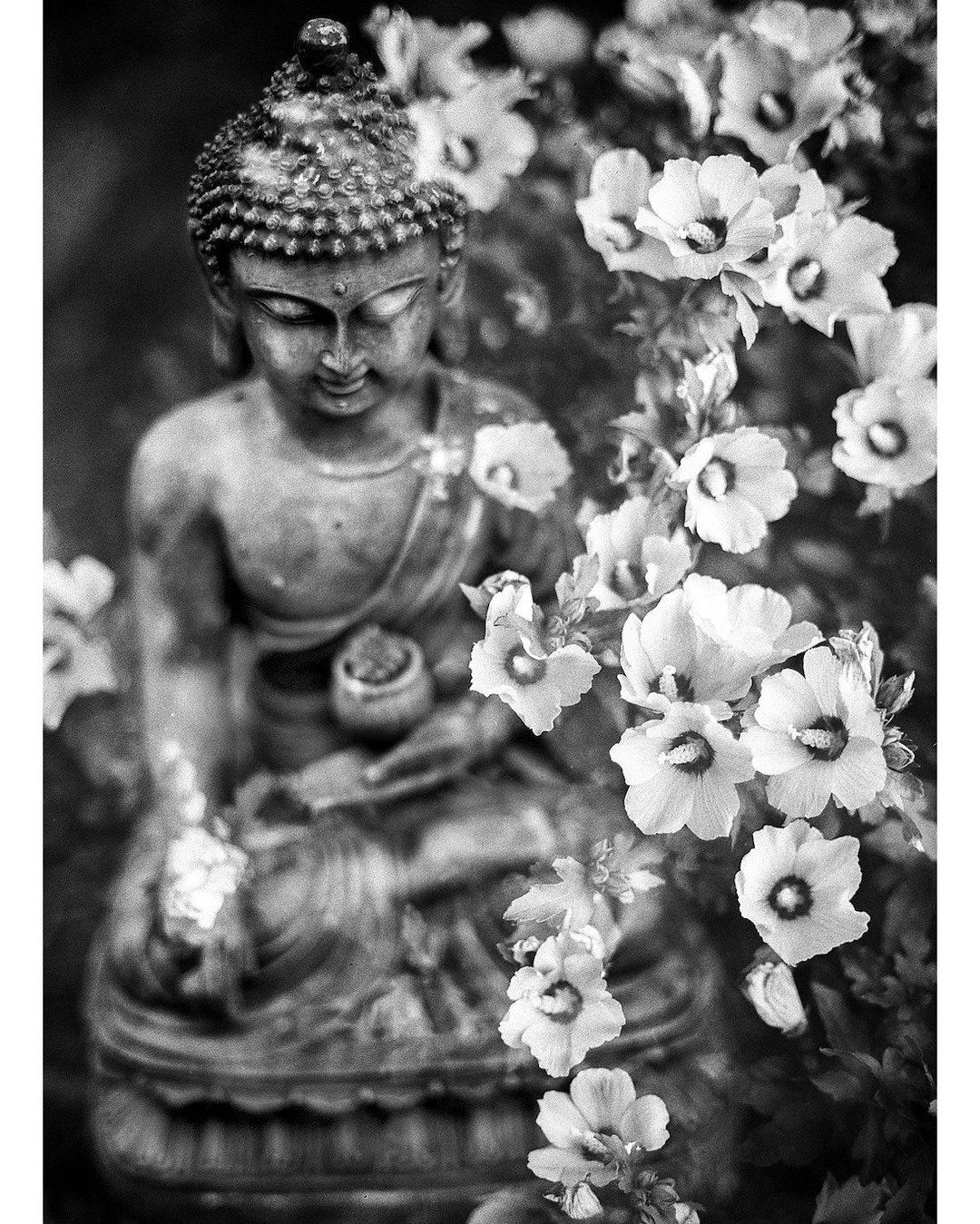 Buddha had a big question and he did something interesting&mdash;he left his good situation to do some practicing. He didn&rsquo;t leave home to find a better life. He didn&rsquo;t leave to get a better job or move to a better place. When I was young