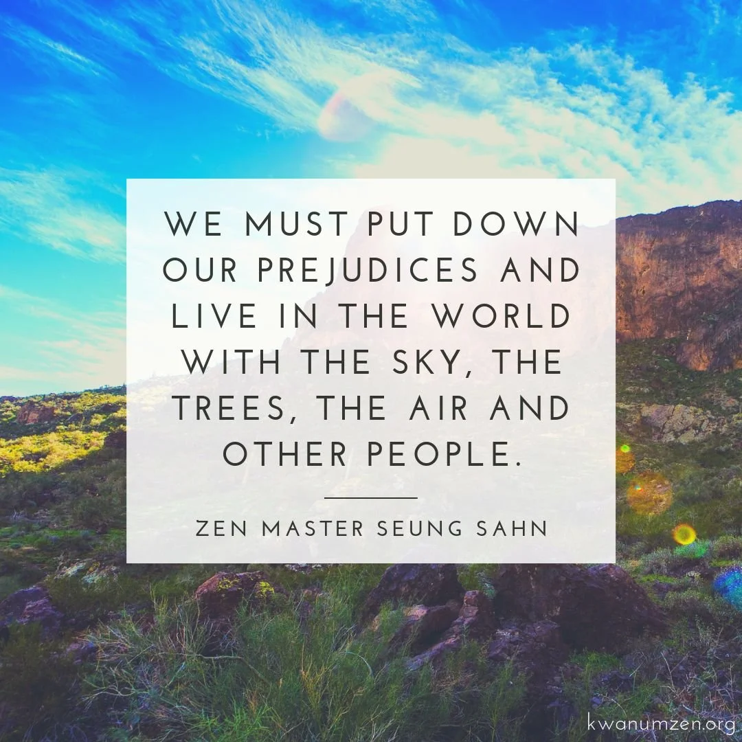 9:15 am
"We must put down our prejudices." Quote by Zen Master Seung Sahn. #zen #buddhism #bodhisattva #putitalldown #meditation #zmseungsahn #kwanumzen