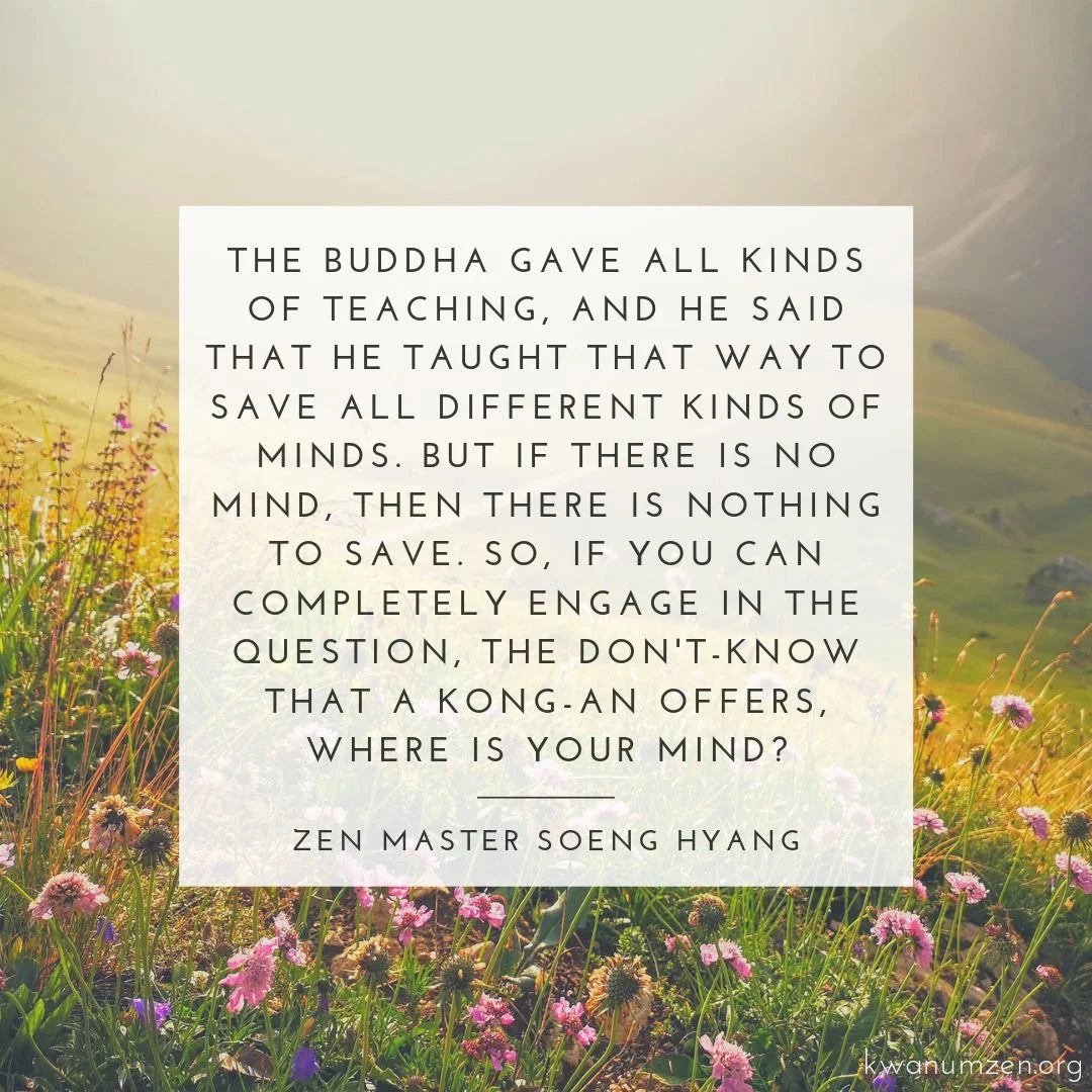 "The Buddha gave all kinds of teaching, and he said that he taught that way to save all different kinds of minds." Quote by Zen Master Soeng Hyang #zen #buddha #mind #dontknow #kongan #engage #kwanumzen