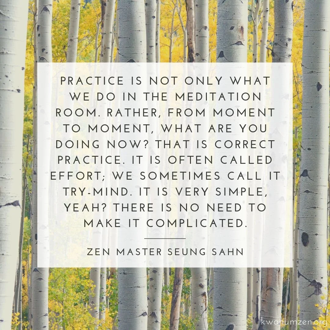 "Practice is not only what we do in the meditation room." Quote by Zen Master Seung Sahn. #zen #meditation #moment #trymind #simple #zmseungsahn #kwanumzen