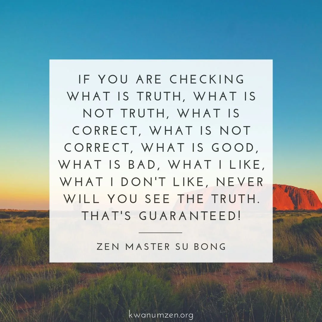 "If you are checking what is truth, what is not truth..." Quote by Zen Master Su Bong. #zen #truth #goodandbad #checking #likesanddislikes #kwanumzen