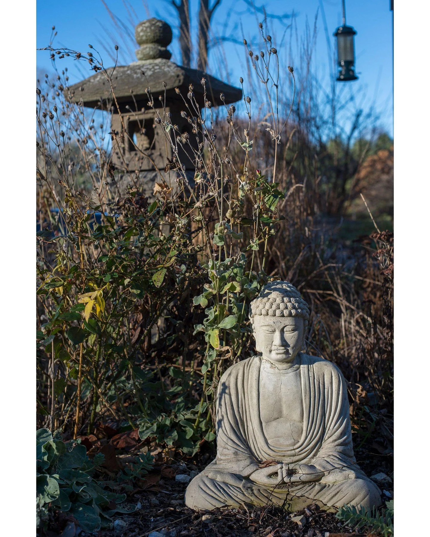 A human being's life is no more than a short act in a play. When the act ends our consciousness, which makes happiness, anger, sadness, and pleasure, disappears without a trace. The flesh dissolves into rot. What kind of impermanent thing is this? Al