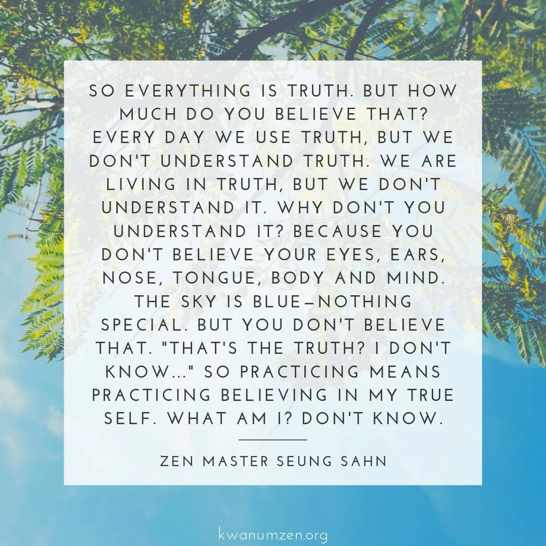 "So everything is truth. But how much do you believe that?" Quote by Zen Master Seung Sahn. #zen #truth #trueself #belief #meditation #dontknow #zmseungsahn #kwanumzen