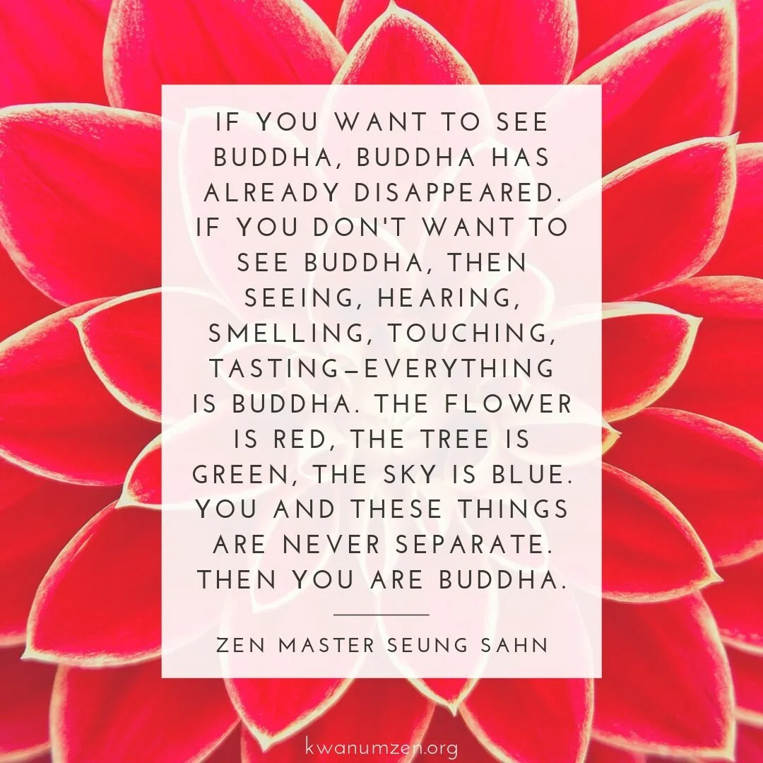 "If you want to see Buddha, Buddha has already disappeared." Quote by Zen Master Seung Sahn. #zen #buddha #seebuddha #everythingbuddha #neverseparate #alreadycomplete #zmseungsahn #kwanumzen