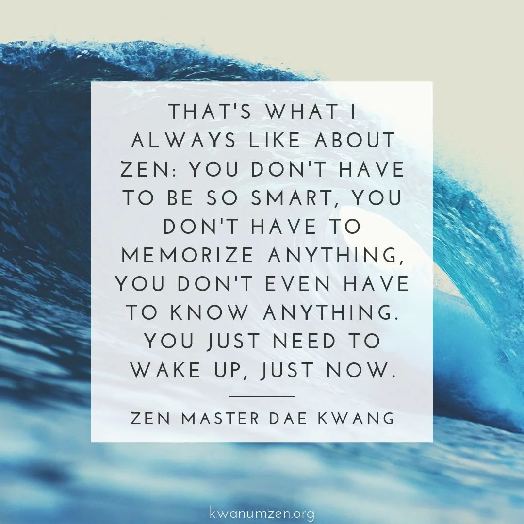 "That's what I always like about Zen..." Quote by Zen Master Dae Kwang. #zen #meditation #wakeup #moment #justnow #kwanumzen