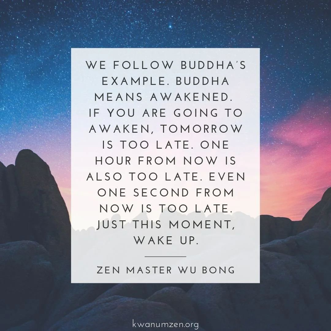 "We follow Buddha's example." Quote by Zen Master Wu Bong. #zen #buddha #wakeup #justnow #moment #kwanumzen