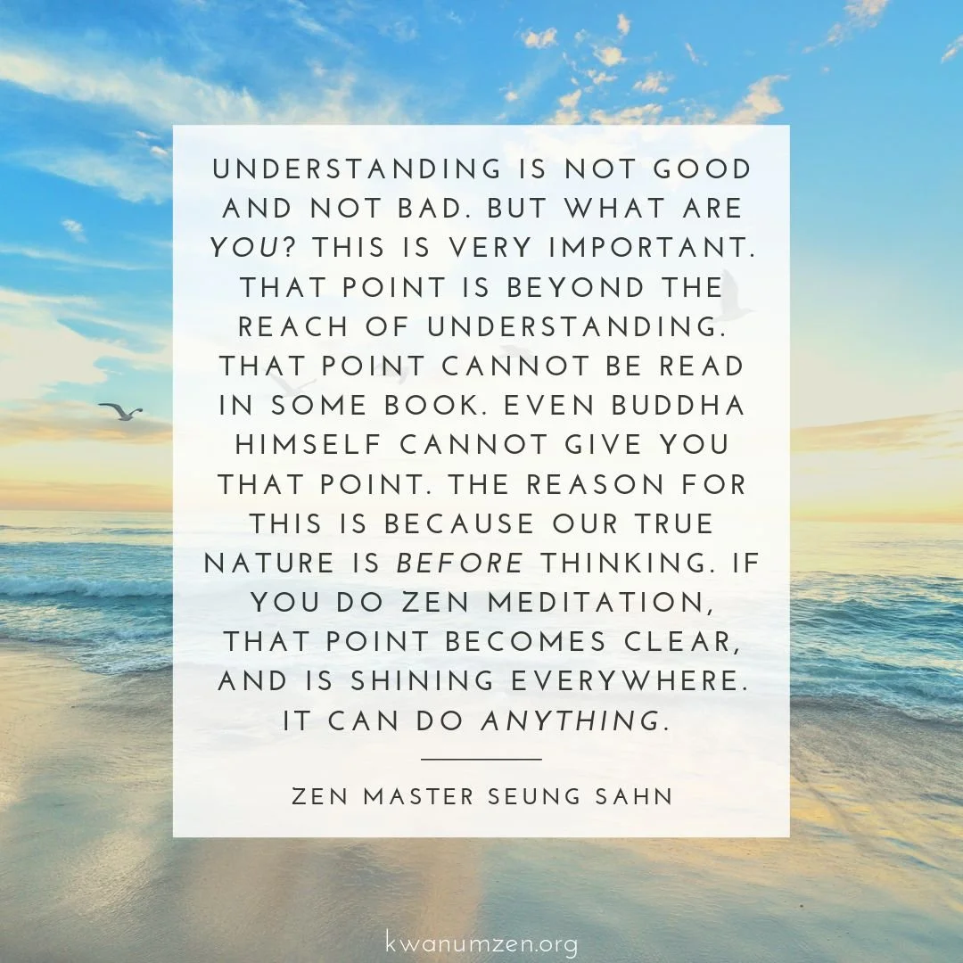 "Understanding is not good or bad. But what are you?" Quote by Zen Master Seung Sahn. #zen #meditation #buddha #truenature #beforethinking #zmseungsahn #kwanumzen