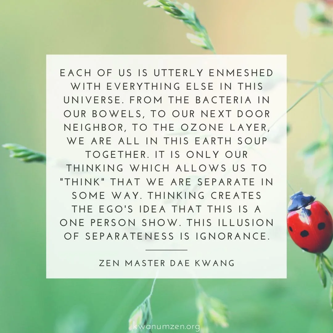 "Each of us is utterly enmeshed with everything else in this universe." Quote by Zen Master Dae Kwang. #zen #interdependence #thinking #ego #illusion #notseparate #ignorance #kwanumzen
