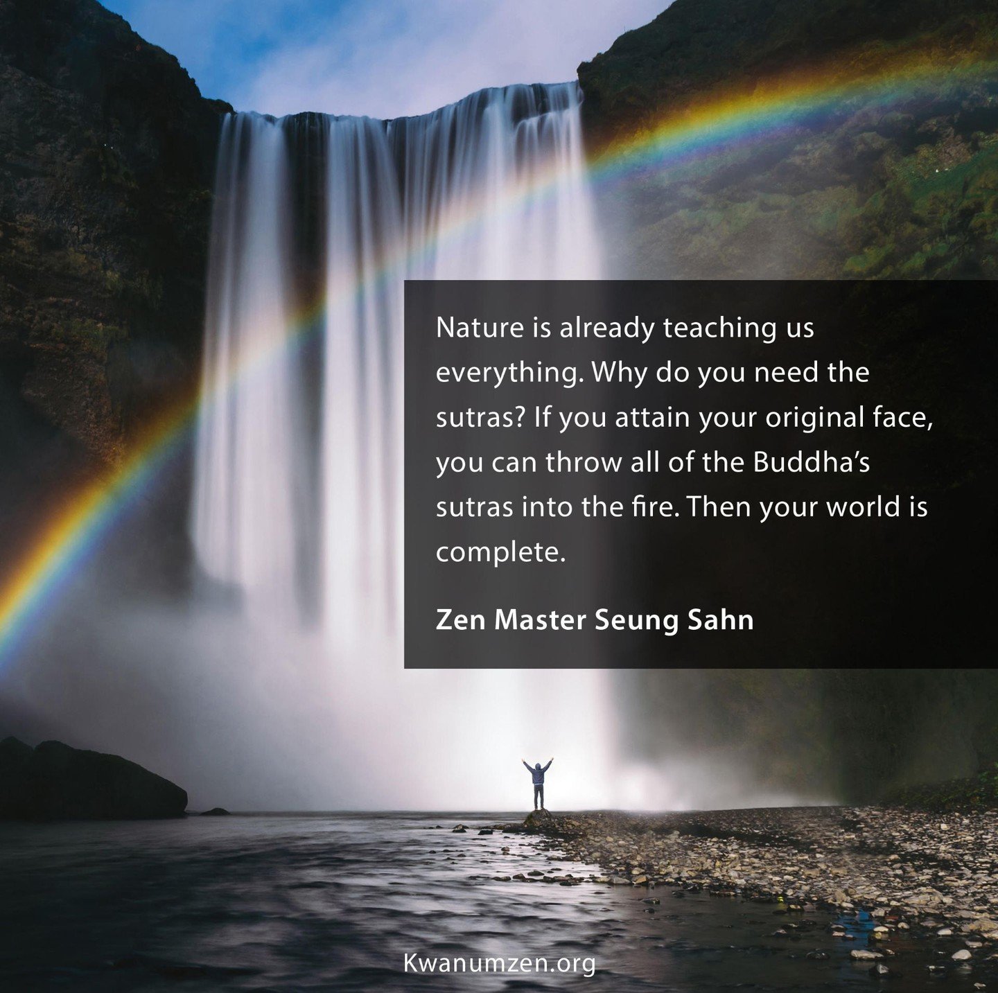 "Nature is already teaching us everything." Quote by Zen Master Seung Sahn. #zen #nature #sutras #originalface #buddha #complete #kwanumzen #zmseungsahn