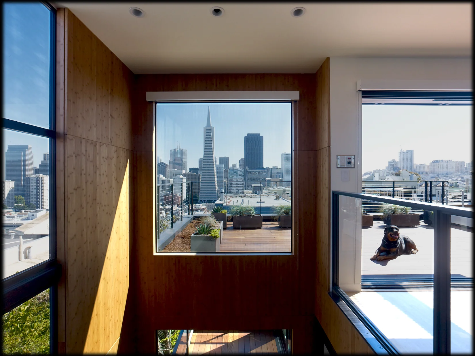  Telegraph Hill - Farrell Architecture - San Francisco 