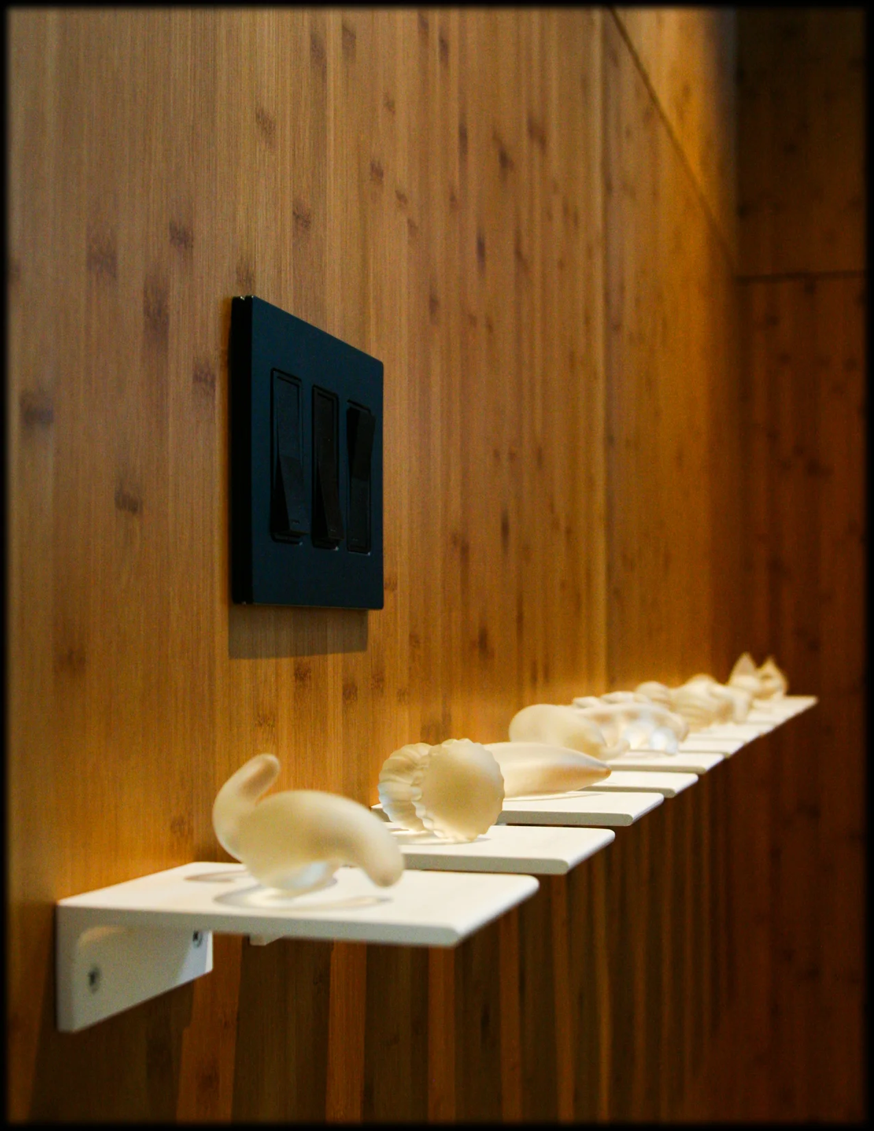  Telegraph Hill - Farrell Architecture - San Francisco 