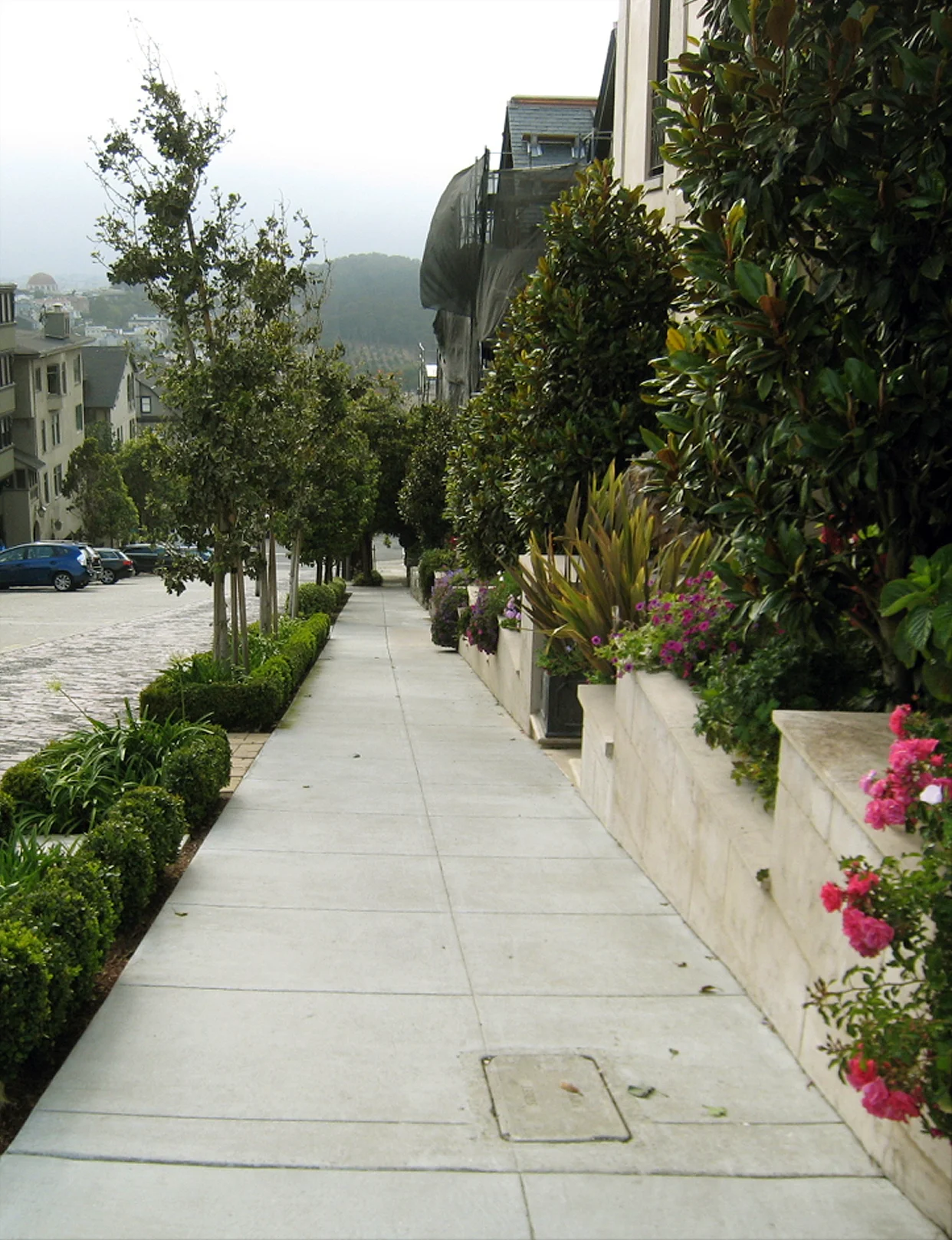 Pacific Heights - Farrell Architecture - San Francisco