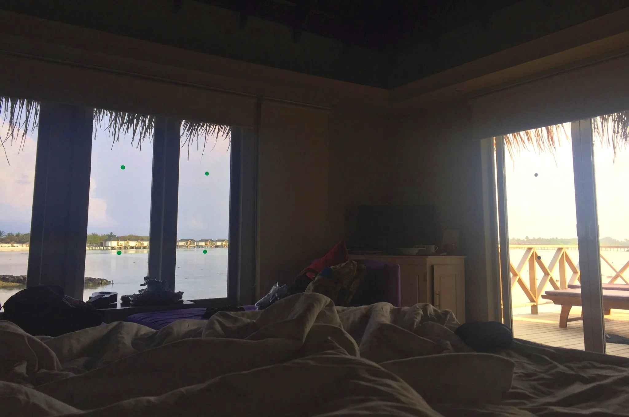5d146510-19b7-4f52-9be4-6e22faaf9f1f.jpg