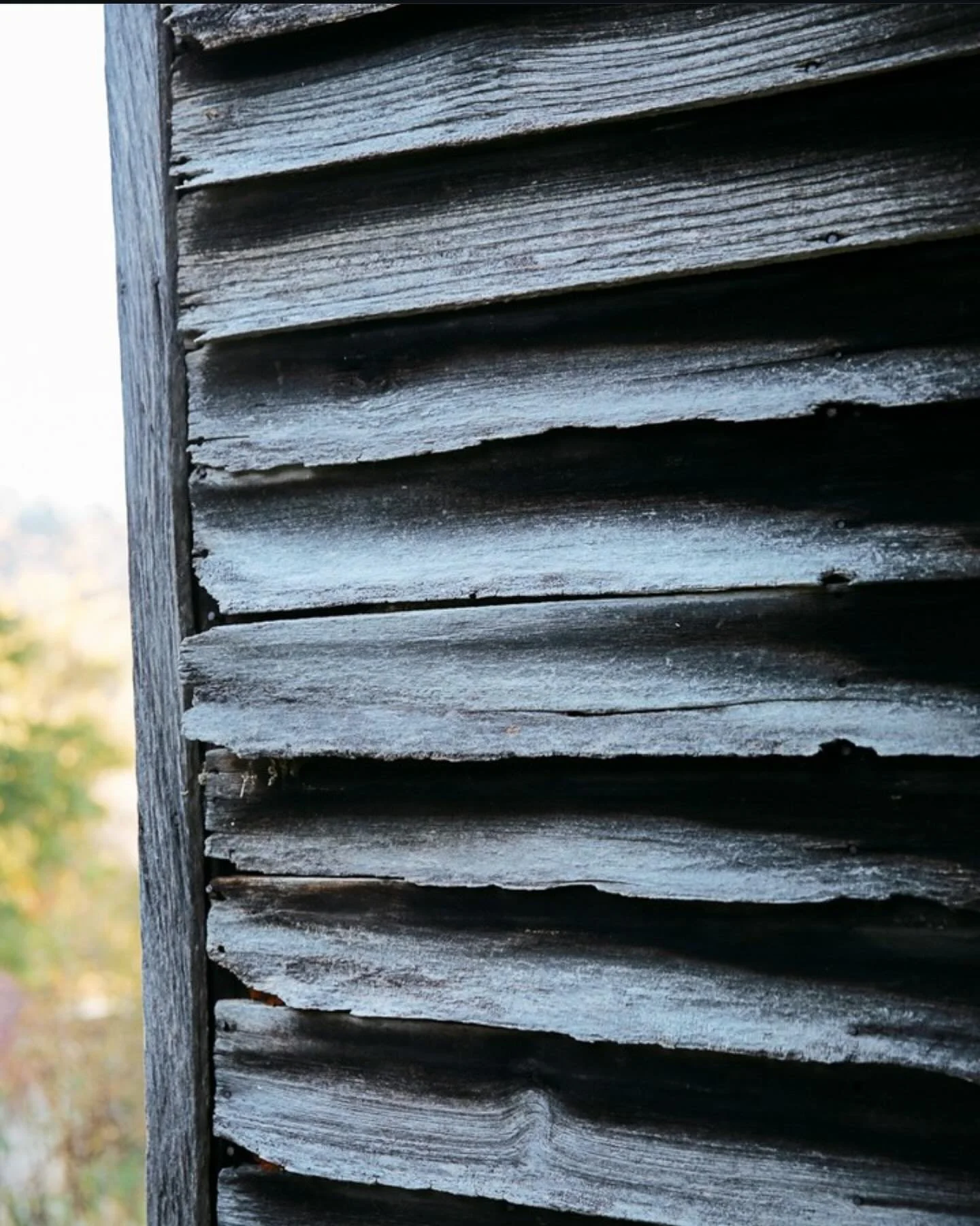 Stories of Home. @luxehousephotographic #ashevillecottonmill&nbsp;#cottonmill&nbsp;#riverartsdistrict&nbsp;#iamashevillecottonmillstudios