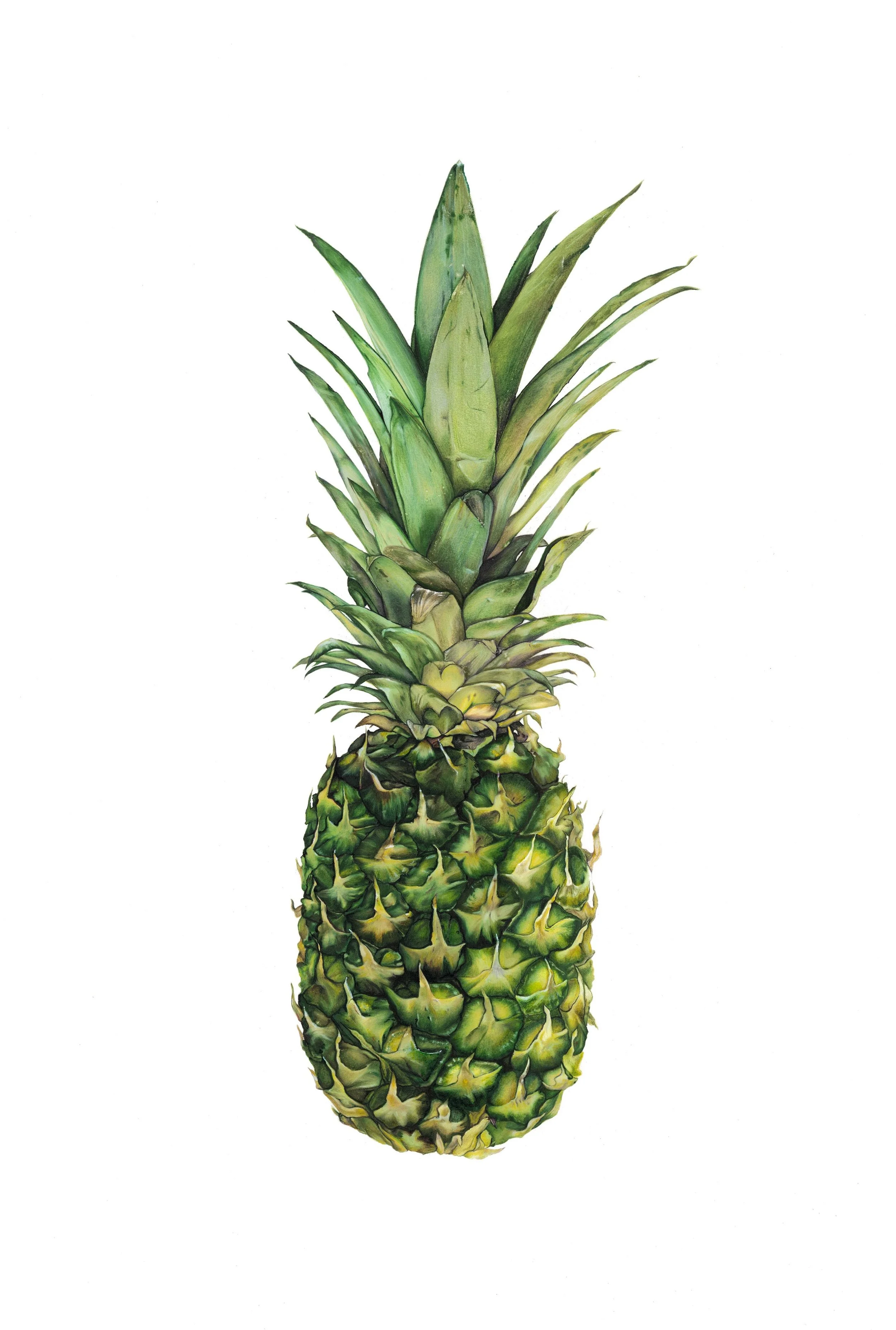 Pineapple