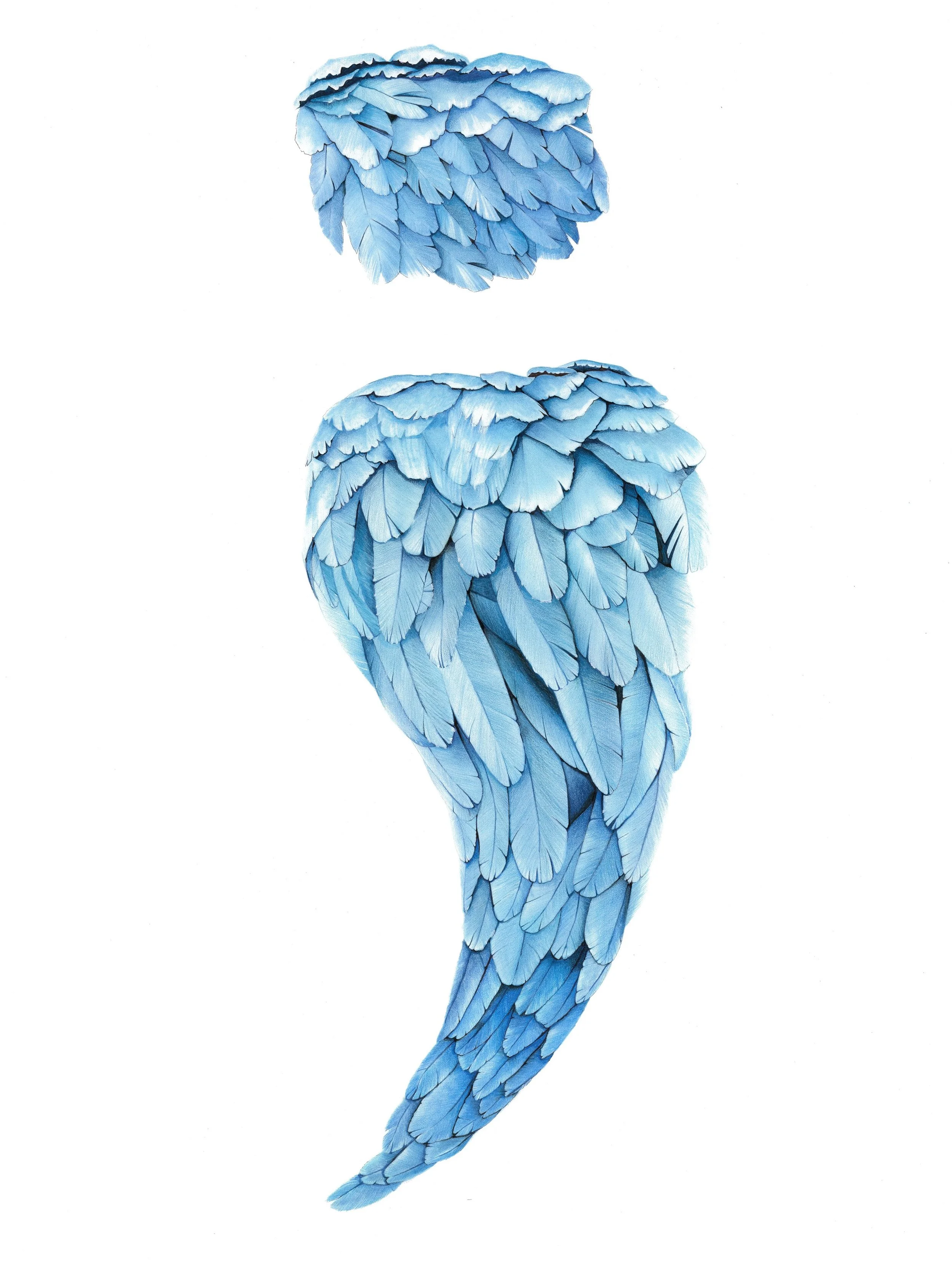 Feather Semicolon_Hannah_Sarfraz.jpg