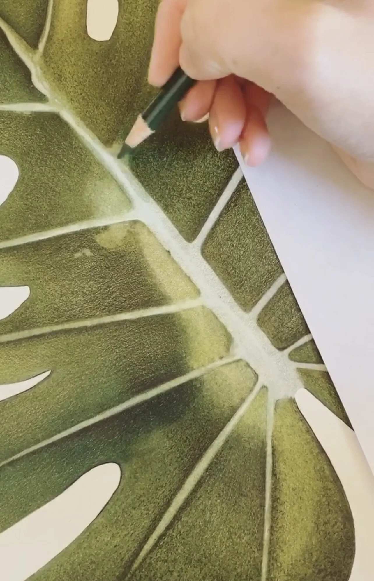 80BA137A-163F-449F-B3C2-60FB43F769CA