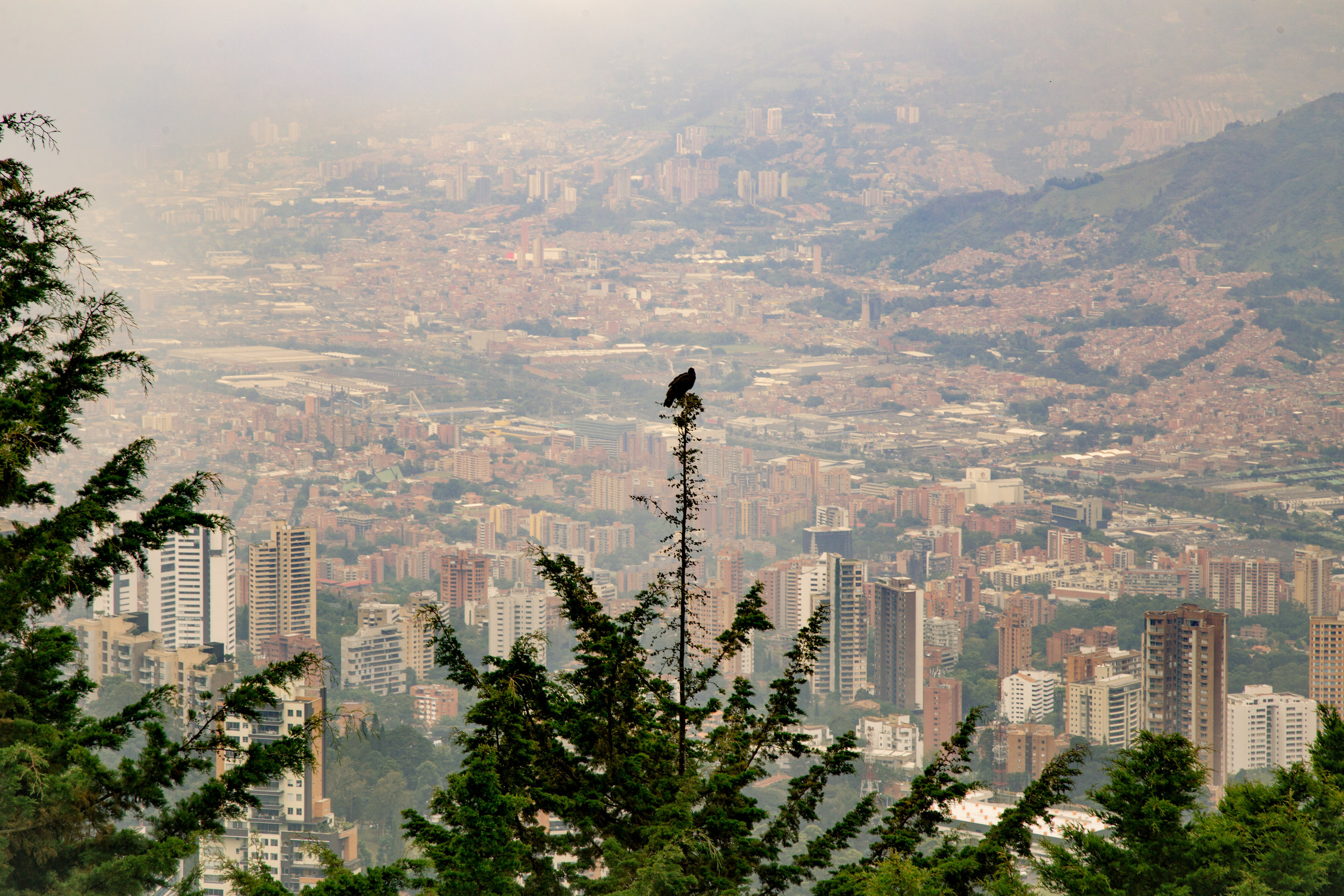 Medellin, Colombia-46.jpg