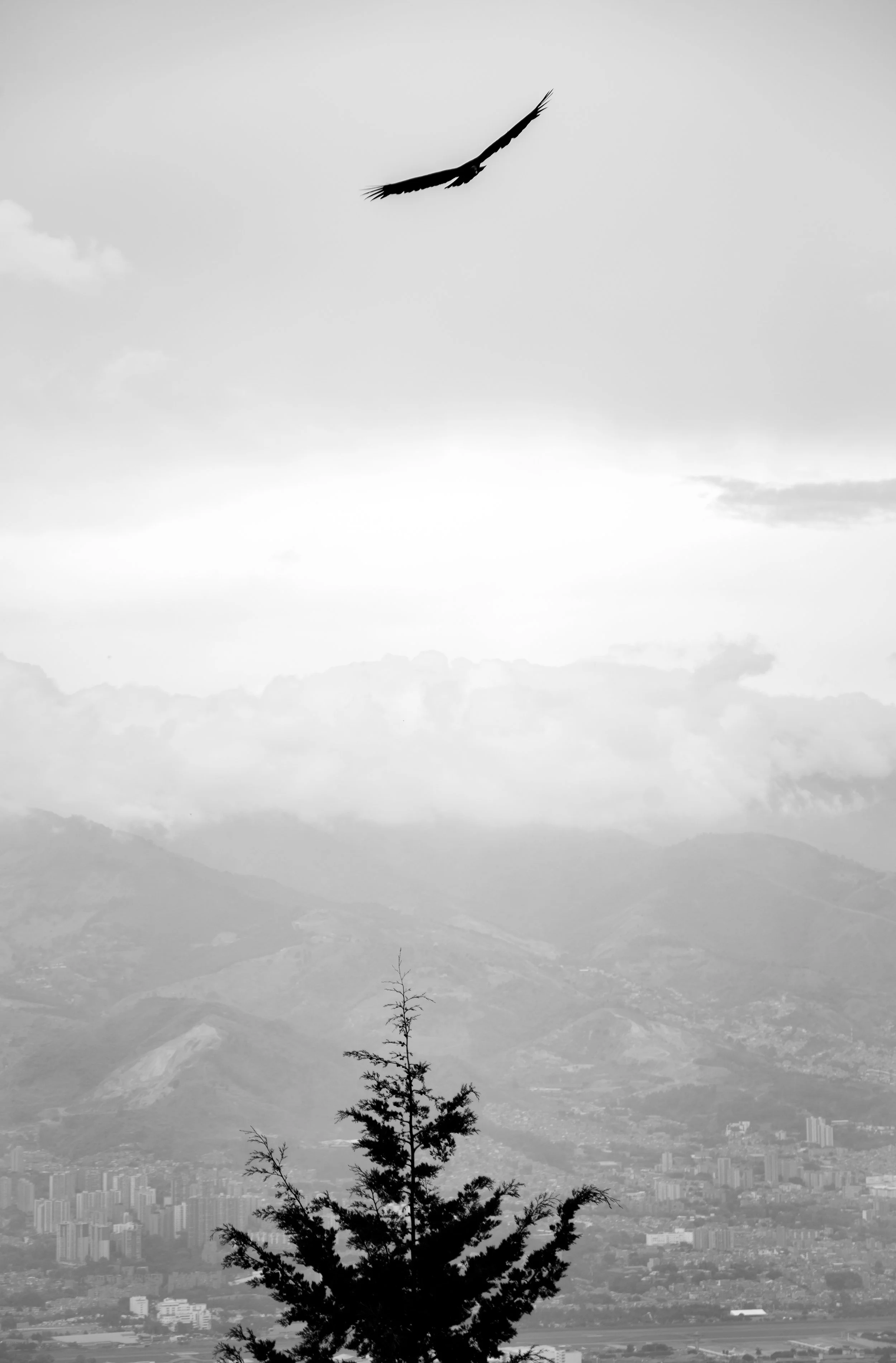Medellin, Colombia-54.jpg
