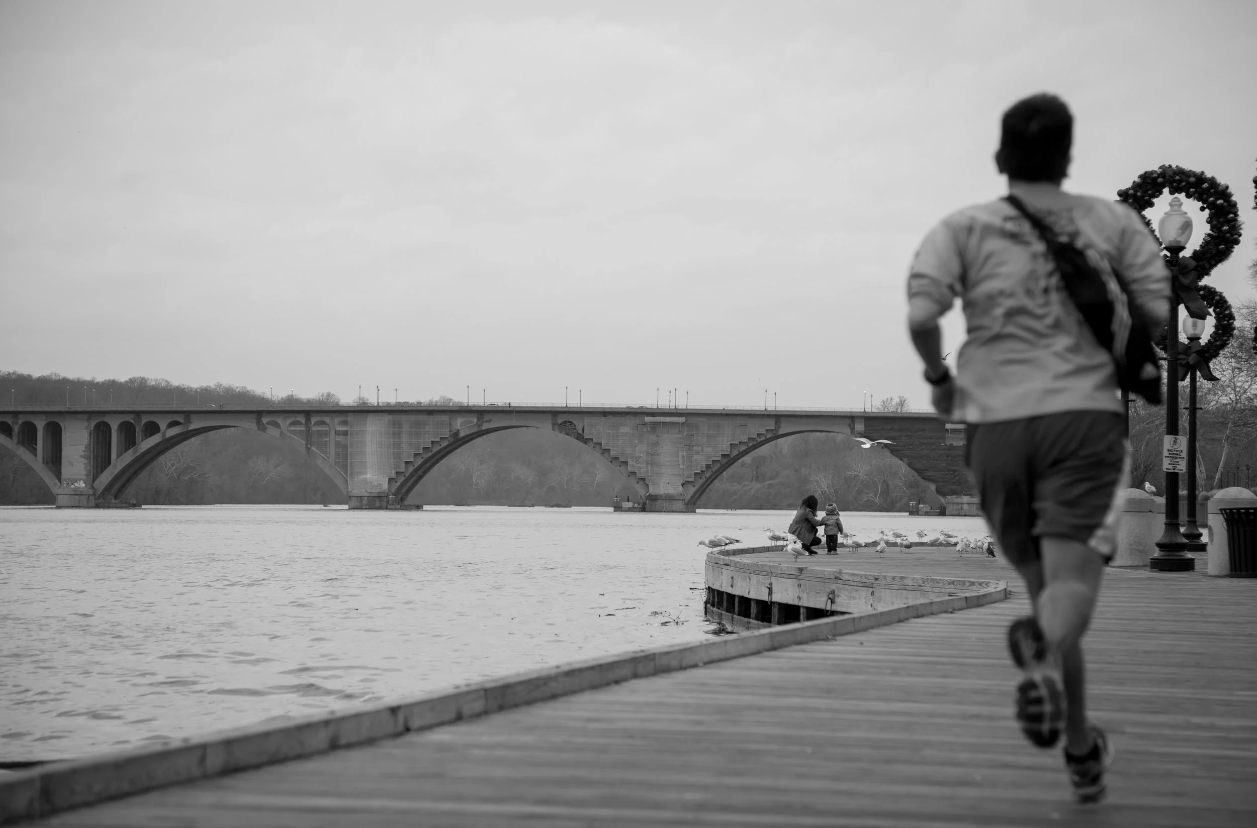 AP5A9481.jpg