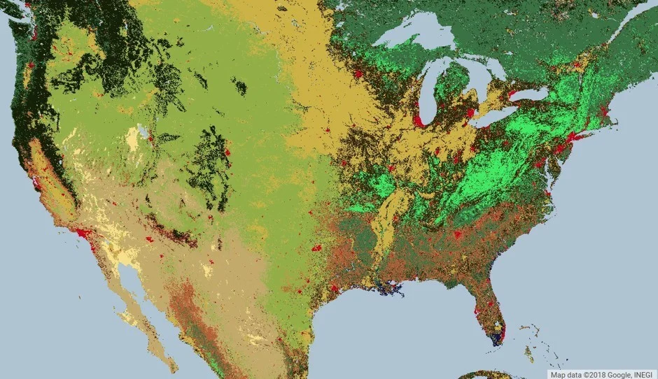 A MODIS Land Cover Type satellite image of the United States, similar to imagery analyzed by the researchers. Different colors indicate different land uses: red is urban; bright green is deciduous broadleaf forest. (Obtained from https://lpdaac.usgs.gov/ maintained by the NASA EOSDIS Land Processes Distributed Active Archive Center, USGS/Earth Resources Observation and Science Center)