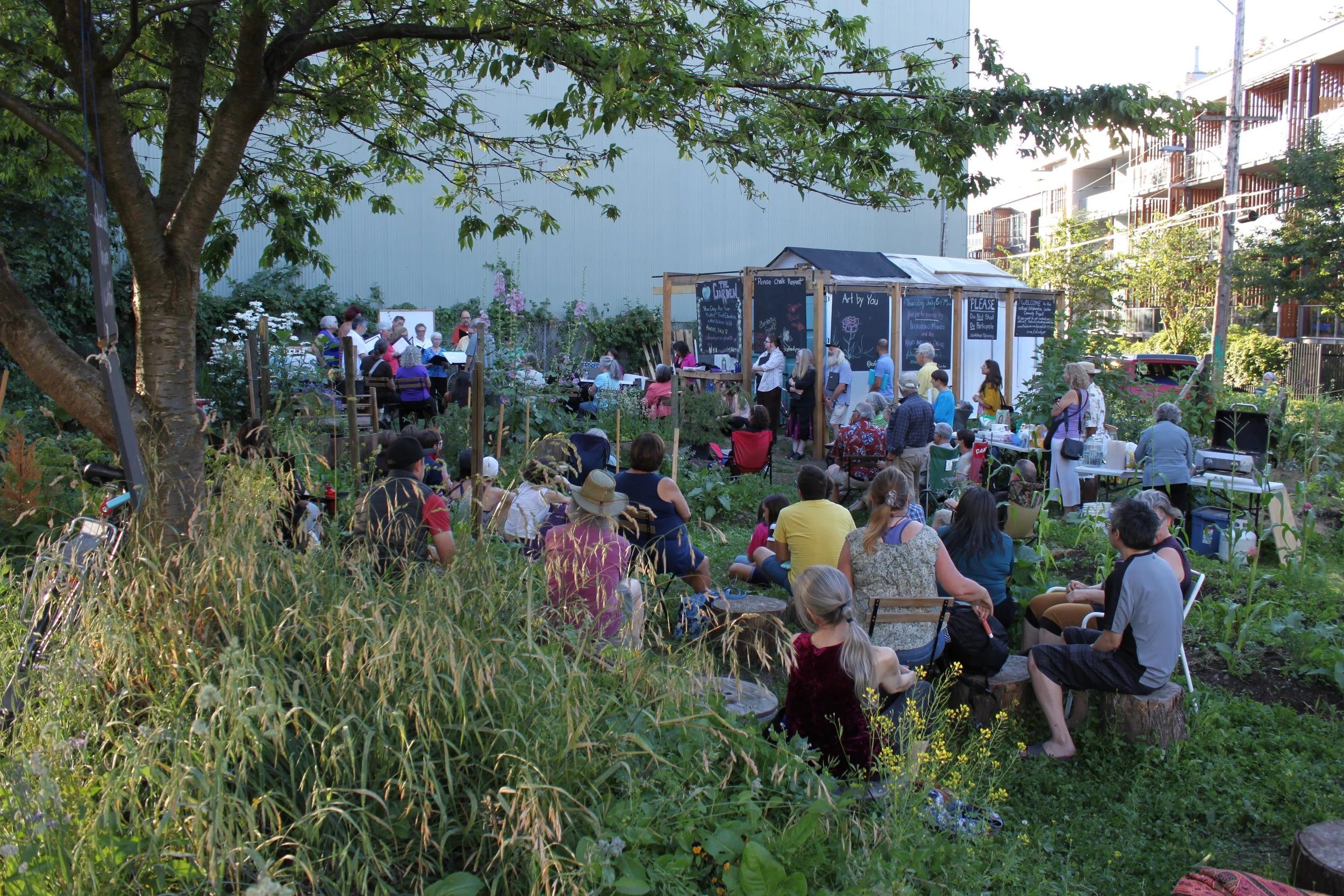 coFood Vancouver's collaborative garden, after the vacant space was transformed.