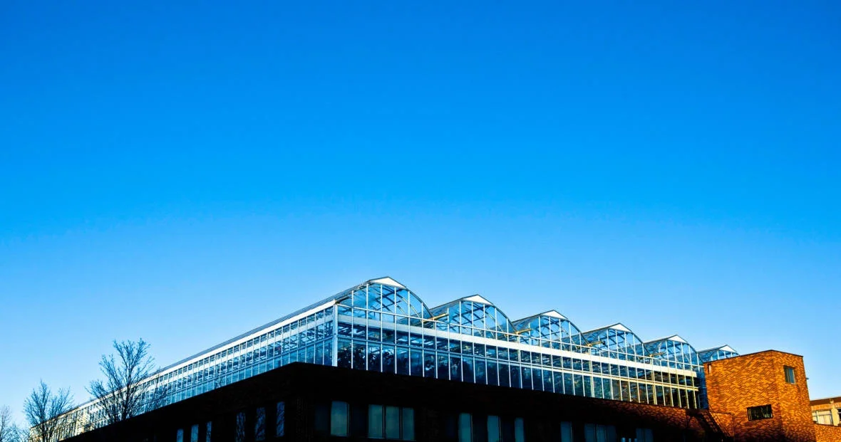Lufa Farms' Ahuntsic greenhouse. (Lufa Farms)