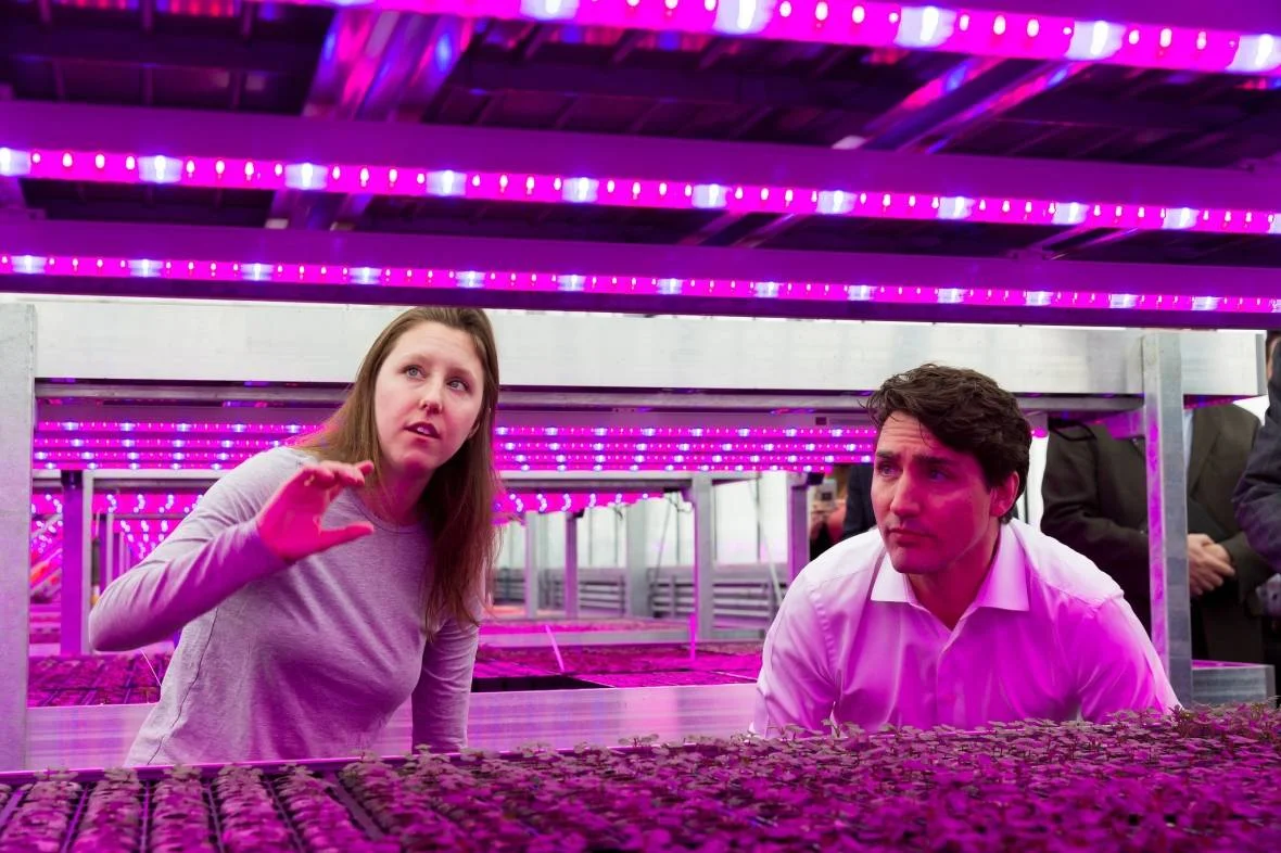 In 2017, Prime Minister Justin Trudeau visited Lufa Farms' Anjou location. (Lufa Farms)