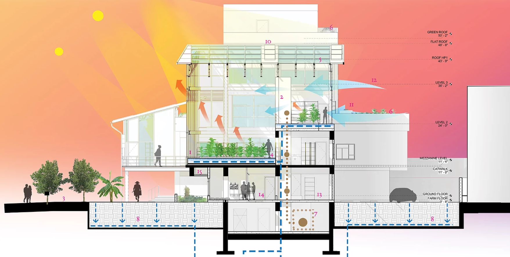 A Colmado Center would serve many functions, such as growing food for the network of Colmados and providing much needed space for community events.