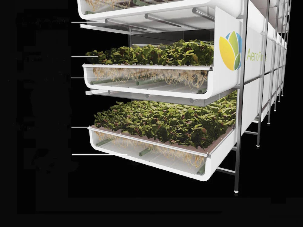AeroFarms’ vertical gardens grow under energy-efficient LED lights and use up to 70 percent less water, compared with more traditional soil-based or horizontal farming. Its largest facility, in Newark, New Jersey, produces 2 million pounds of leafy greens each year, which don’t have to travel far to reach urban markets. Despite these efficiencies, critics of vertical farming say using electricity rather than renewable sunlight doesn’t add up for high-volume production. Photo courtesy Aerofarms.