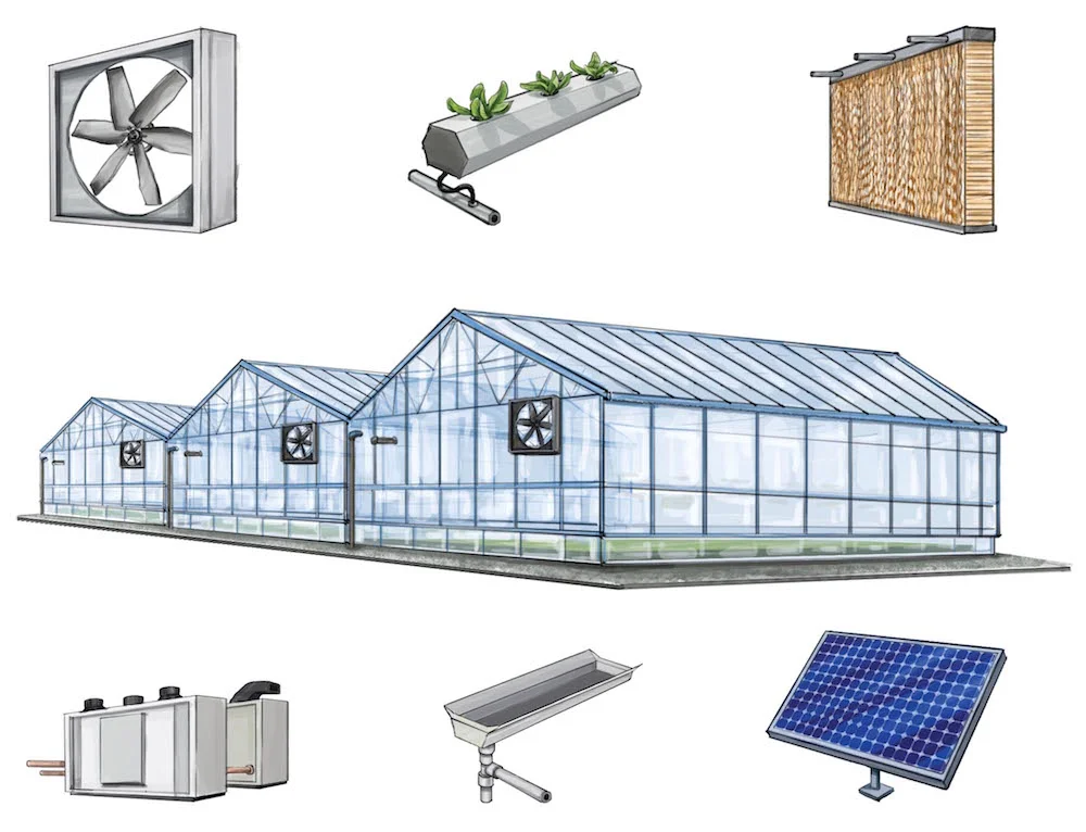 In a hydroponic set-up, plants get the nutrients they need through irrigation water. The process eliminates soil and increases yield. For this process to be successful, ventilation and temperature modulation are key. Solar panels provide renewable energy to power irrigation pumps and ventilation systems, and rainwater is captured in roof tanks for use as irrigation in dry periods. Water is constantly recirculated in a hydroponic system, wasting none. Illustration by Ellaphant in the Room.