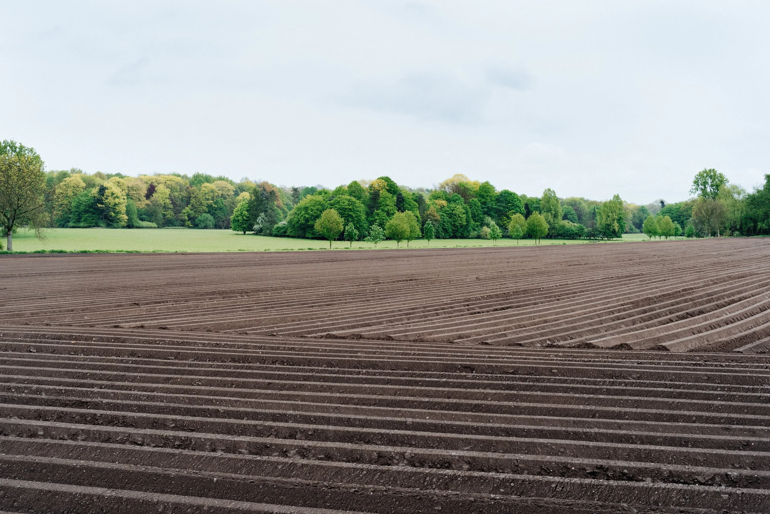 Alex agriculture (2).jpg