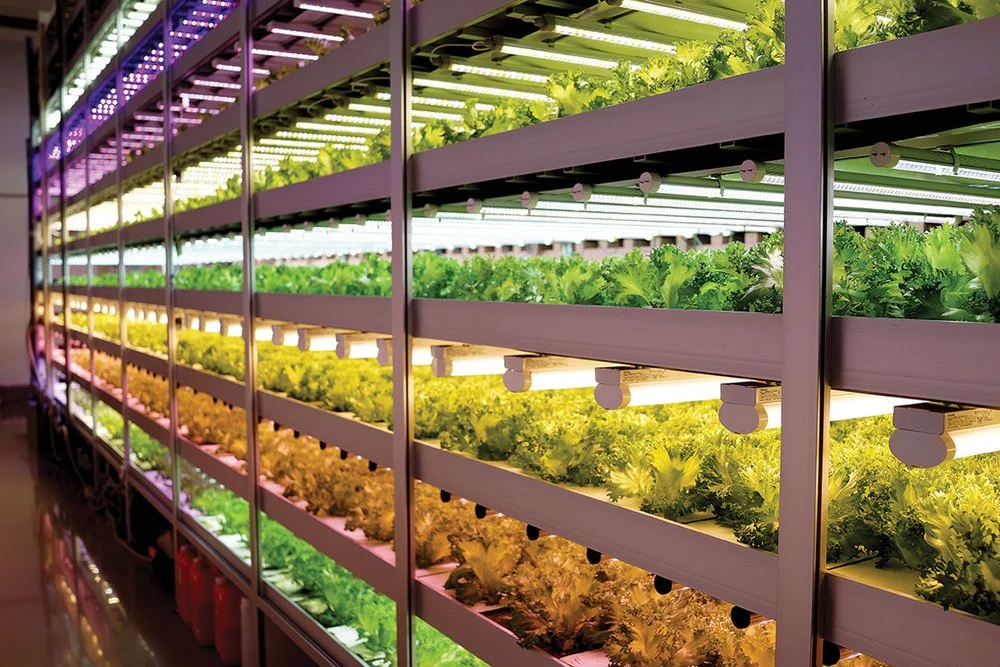 JPFA-vertical-farm.jpeg
