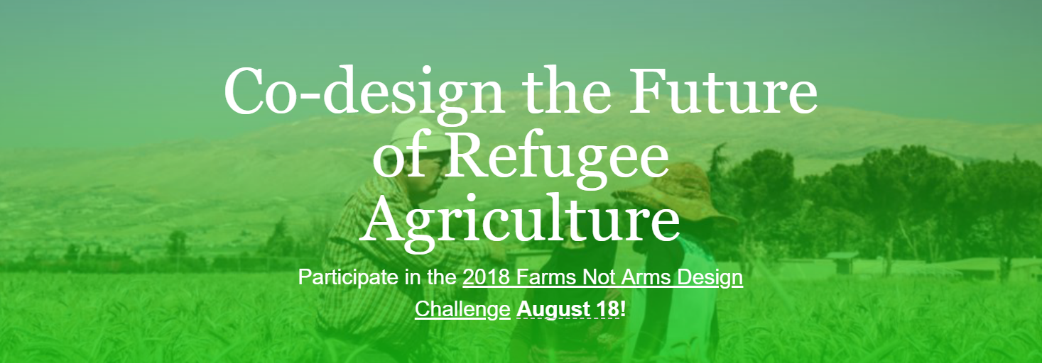 Farms Not Arms Design Sprint.png