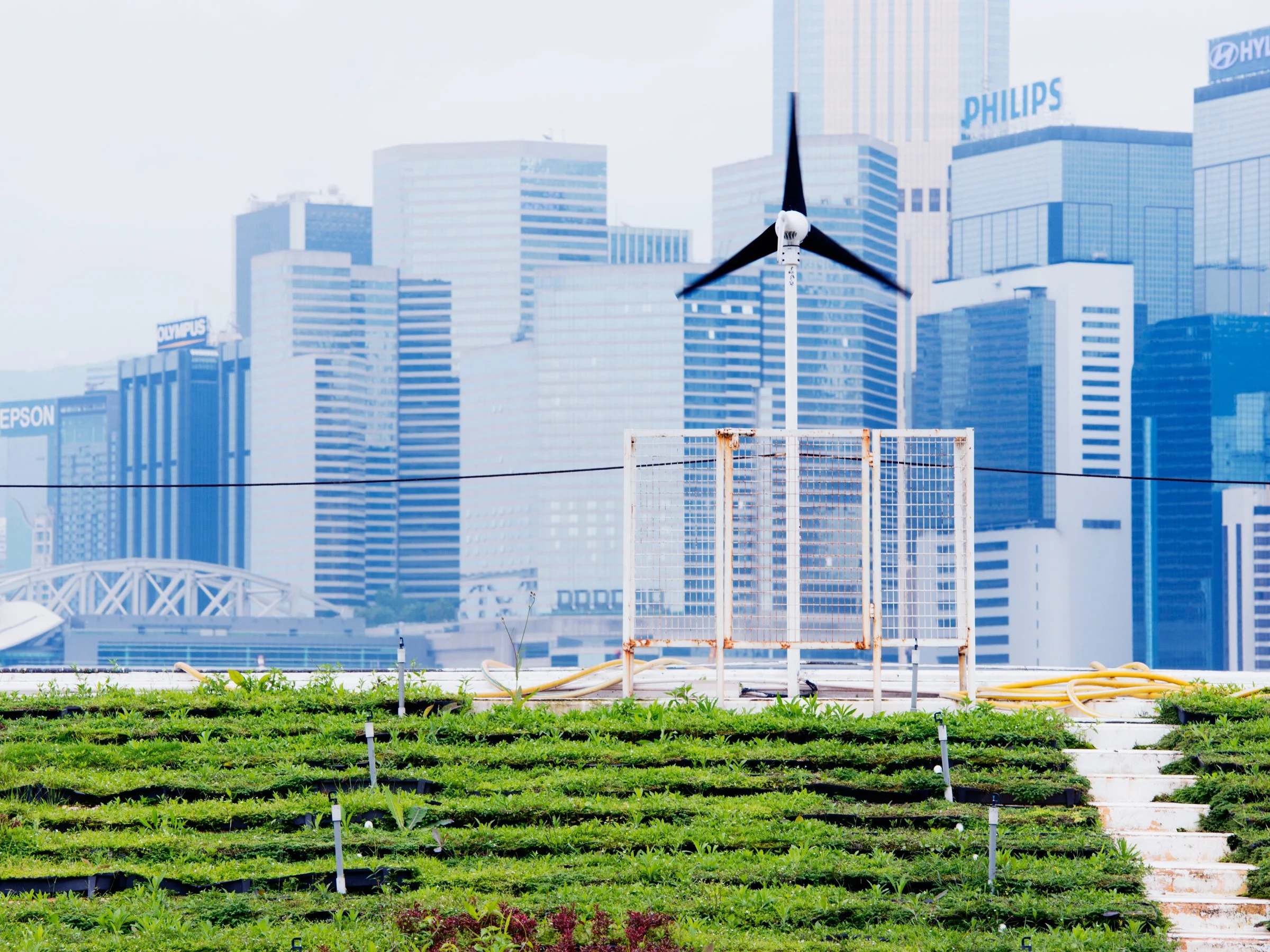 Urban Agriculture Impacts: Social, Health, and Economic: A Literature Review
