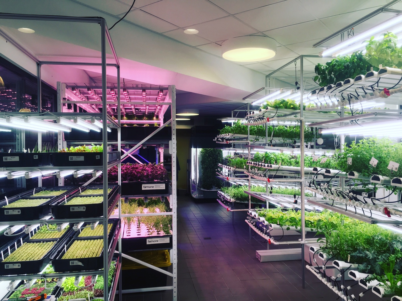 Farm.One’s first location in Lower Manhattan. (Photo: Farm.One)