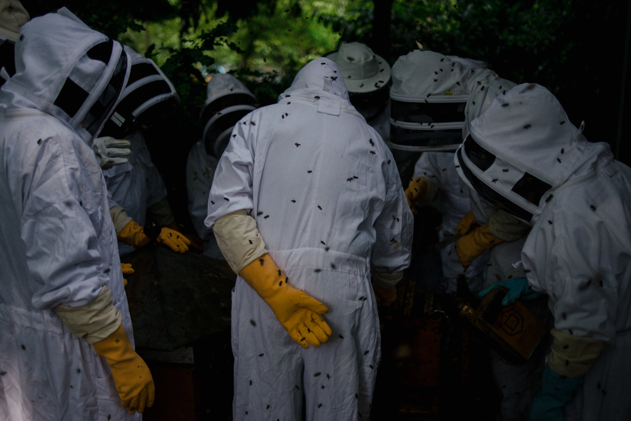 A class at the Luxembourg Gardens apiary and bee school.